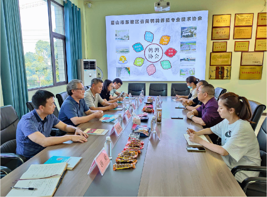 QQ图片20220602171022.png